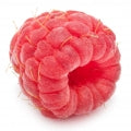 Rasberry