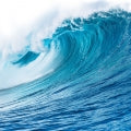 Aquatic Notes