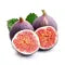 Fig