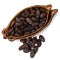 Cacao