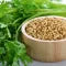 Coriander