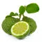 Bergamot 