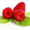 Raspberry 