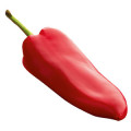  Pimento