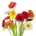 Floral bouquet